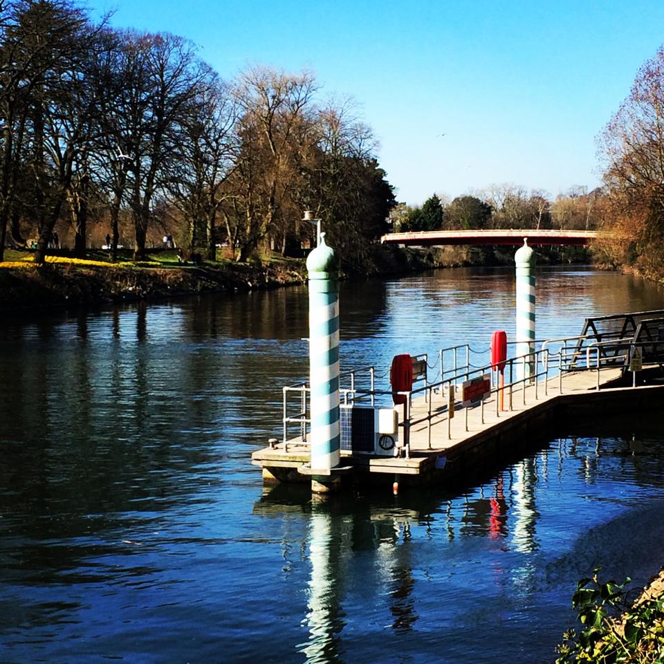 1959444_10153892138680562_100232341_n